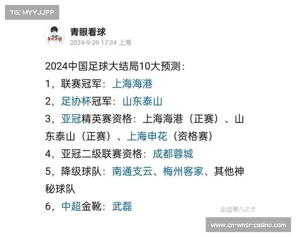 亚冠中超名额竞争白热化 各队实力深度分析与未来走势预测 亚冠中超名额竞争白热化 各队实力深度分析与未来走势预测
